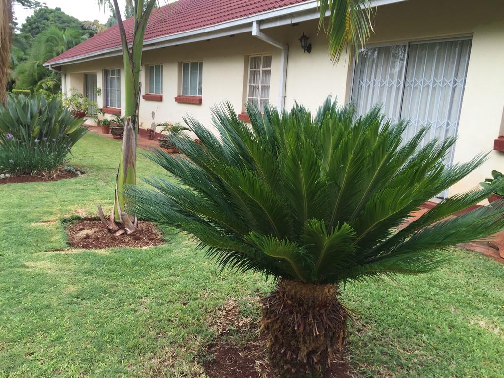 Palm Villa ハラレ エクステリア 写真